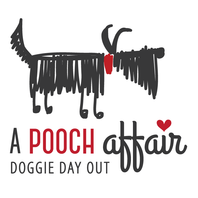 A-Pooch-Affair_logo.png#asset:41522