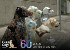 Dogshare 60 Years of Guide Dogs Exhibition :: Dates for your diary