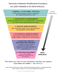 Heirachy-of-Behaviour-Modification-Procedures.png#asset:50857