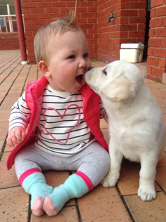 Babywithdog.png#asset:50256