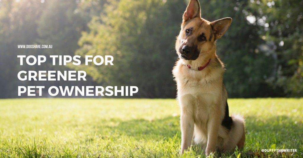 Top Tips For Greener Pet Ownership