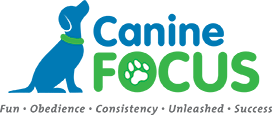 canine-focus-small