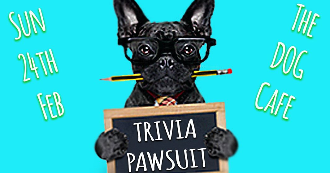 paws-explores-Trivia-PAWsuit-Adventure.png#asset:46955