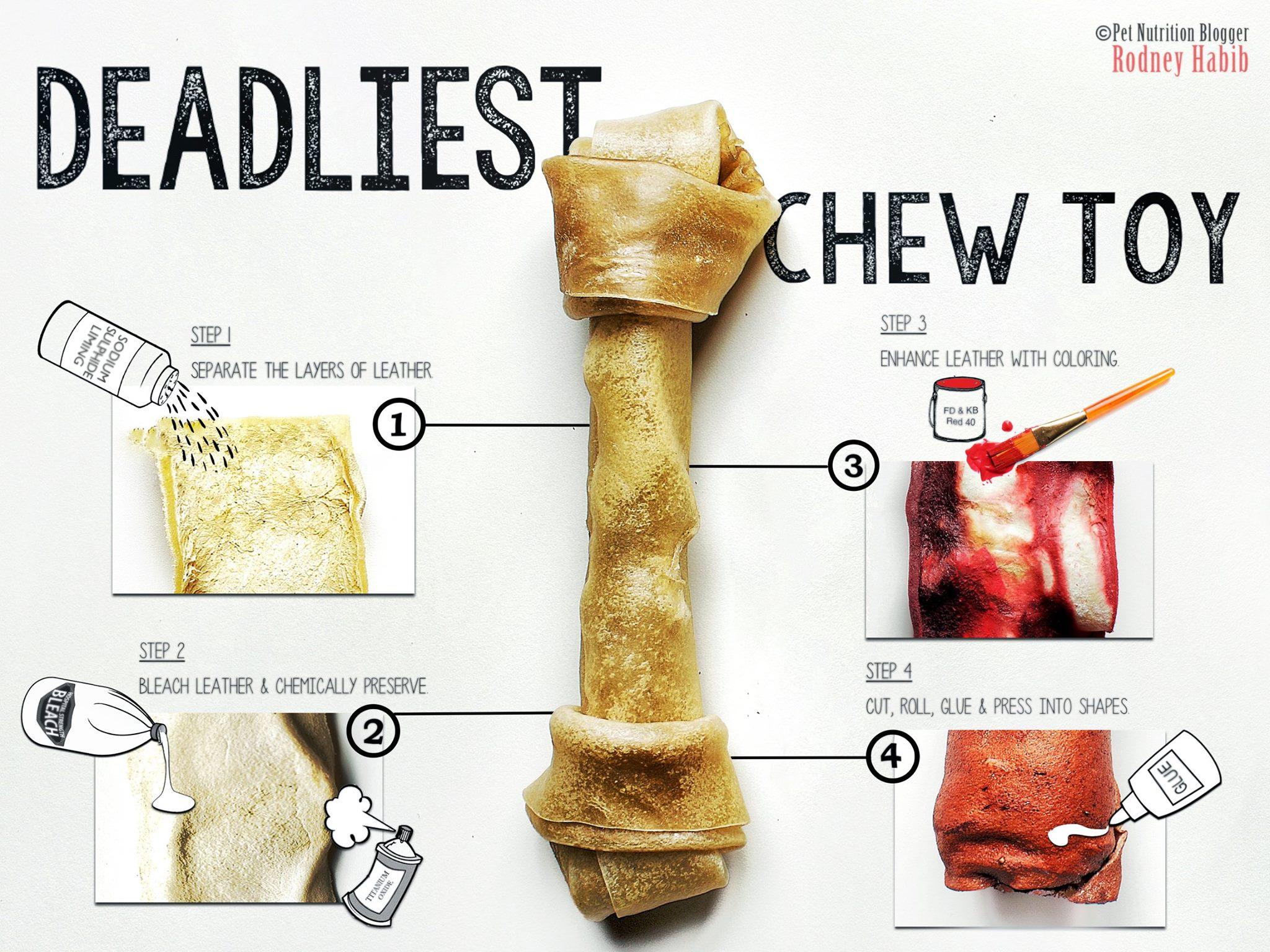 A puppy finds a rawhide bone outlet